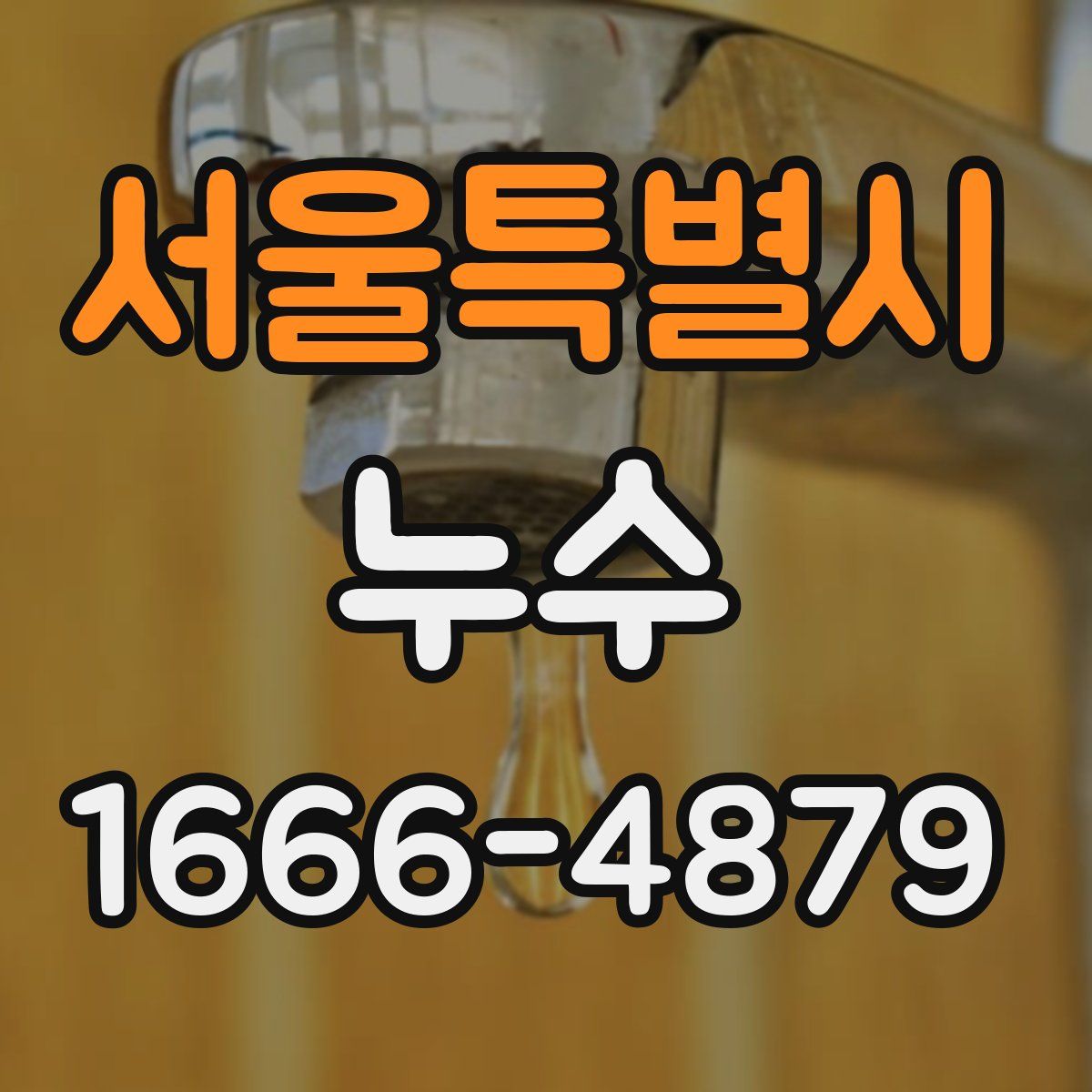 서울특별시 누수