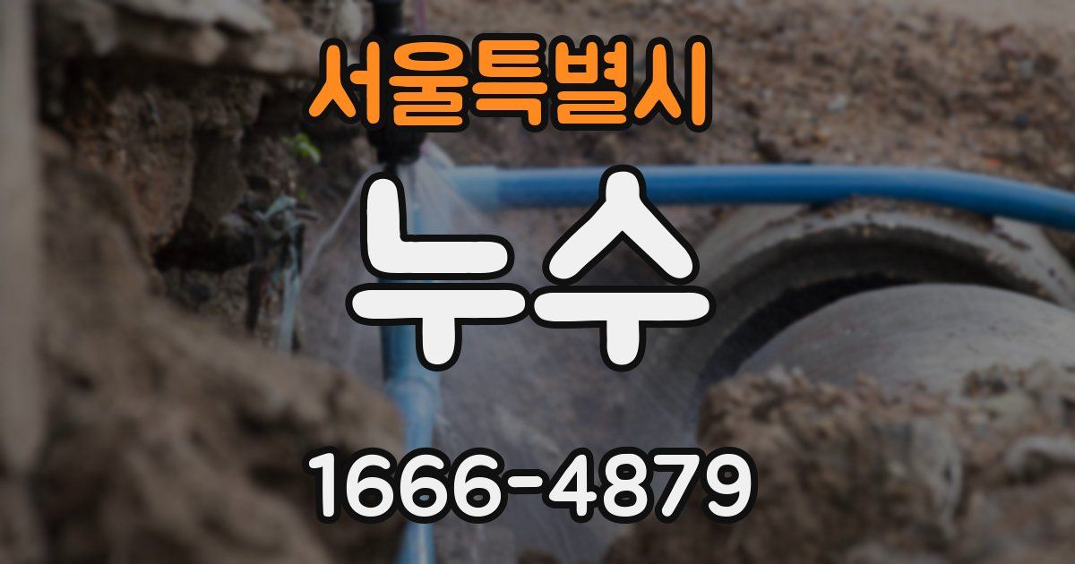 서울특별시 누수