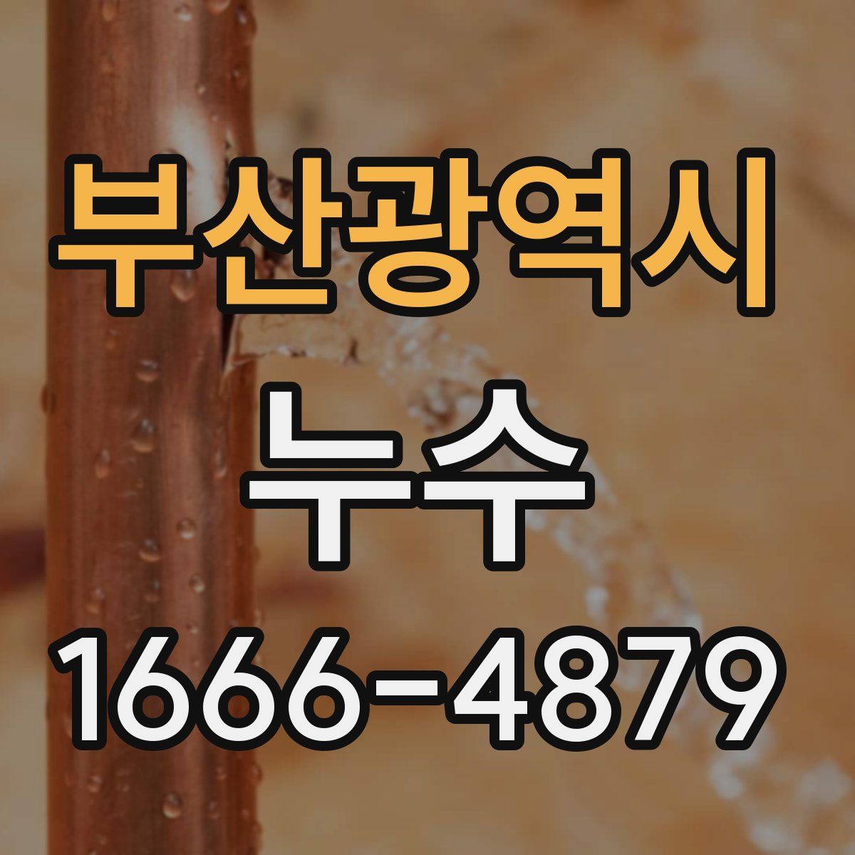 부산광역시 누수
