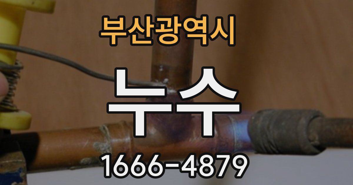 부산광역시 누수