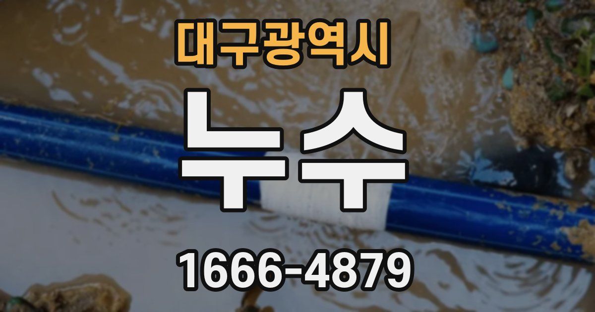 대구광역시 누수