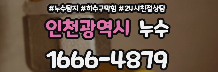 인천광역시 누수