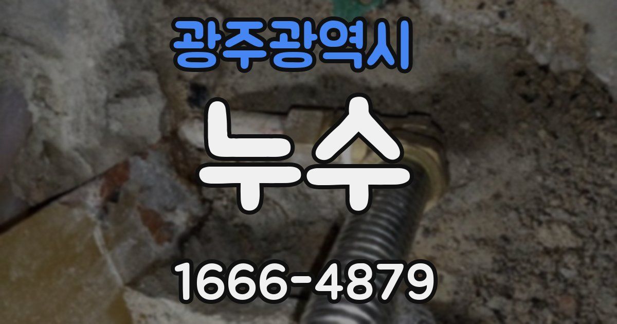 광주광역시 누수