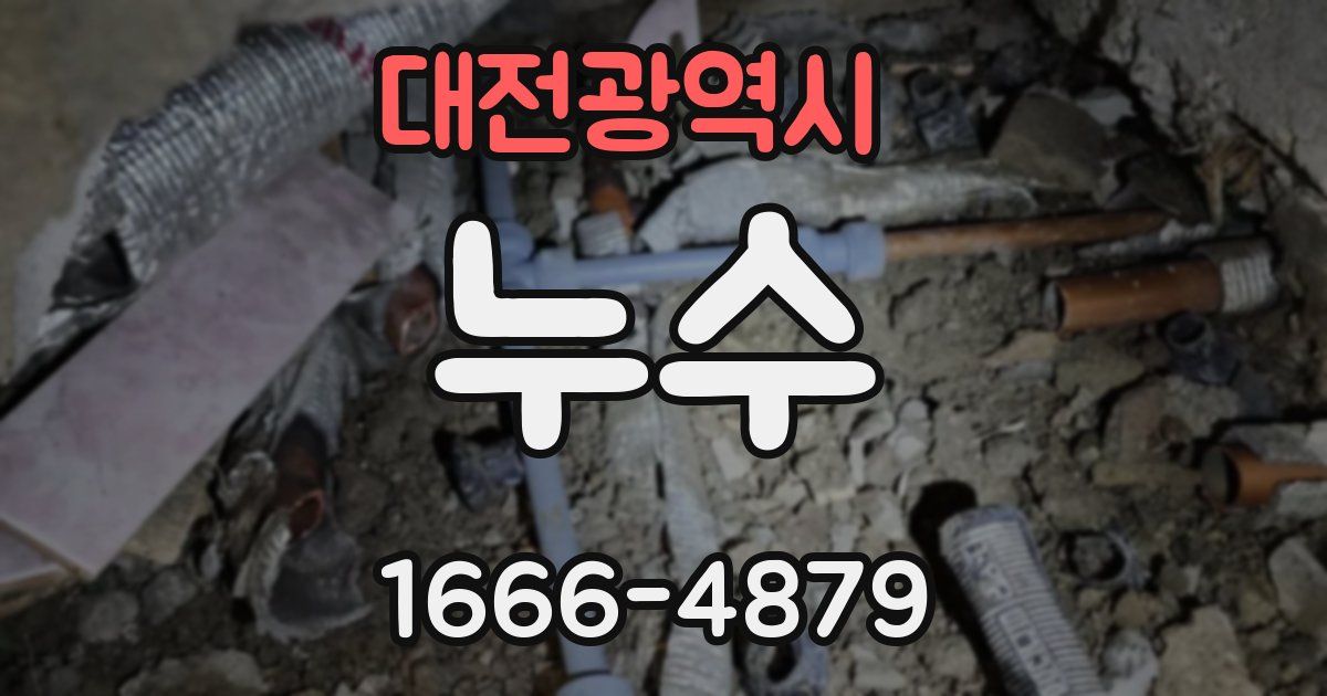 대전광역시 누수