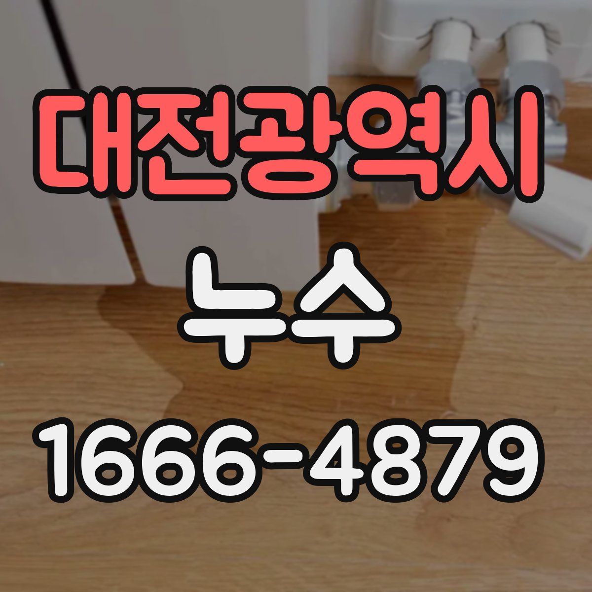 대전광역시 누수