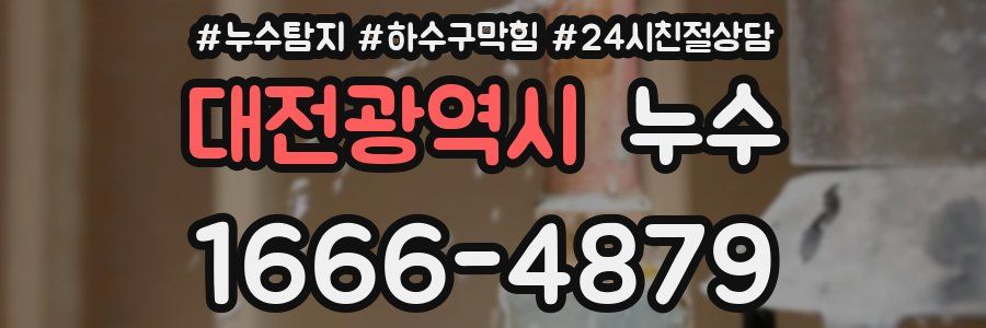 대전광역시 누수