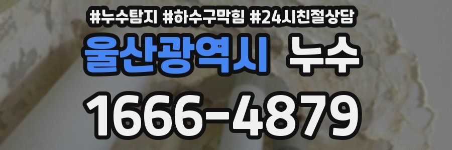 울산광역시 누수