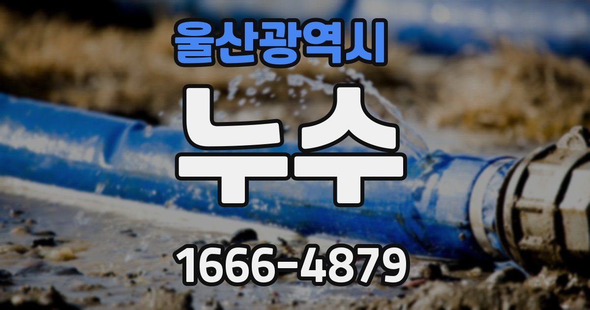 울산광역시 누수