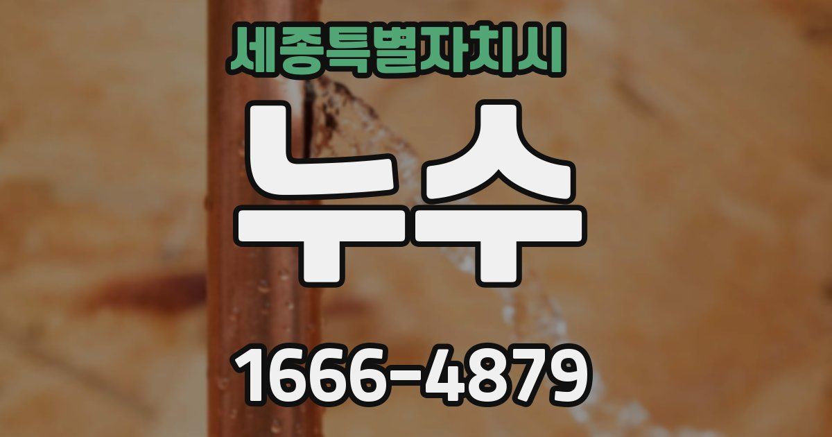 세종특별자치시 누수