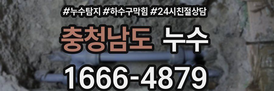 충청남도 누수