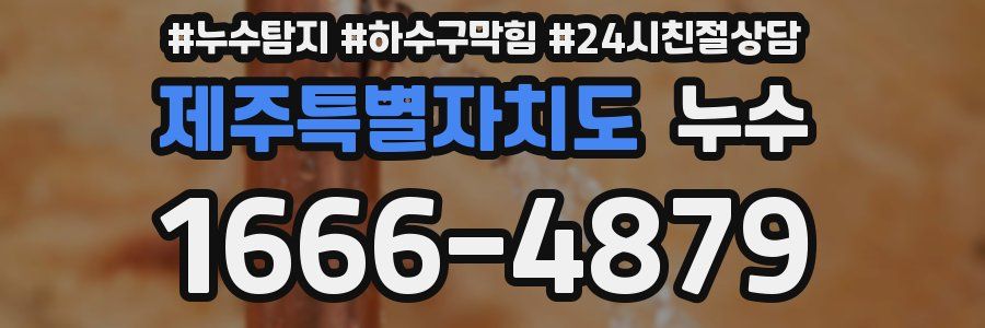 제주특별자치도 누수