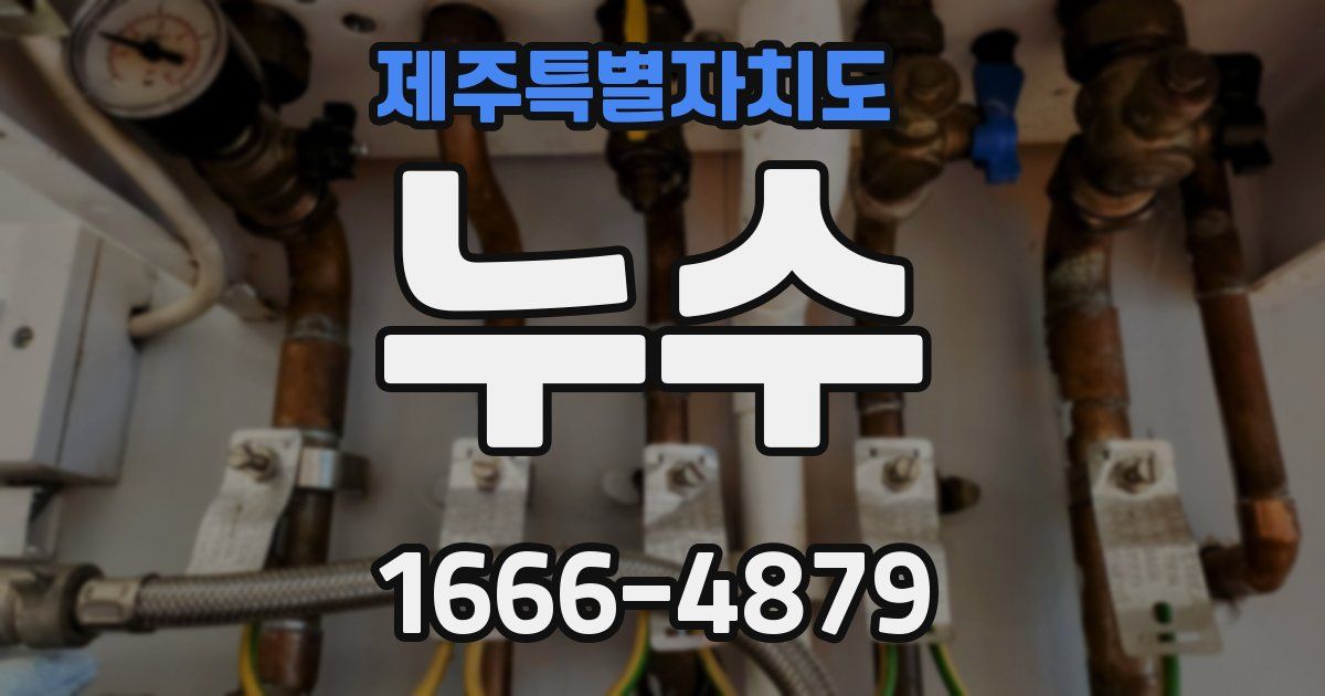 제주특별자치도 누수