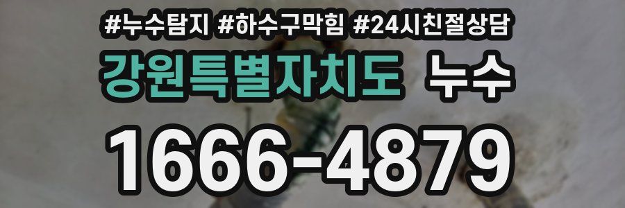 강원특별자치도 누수