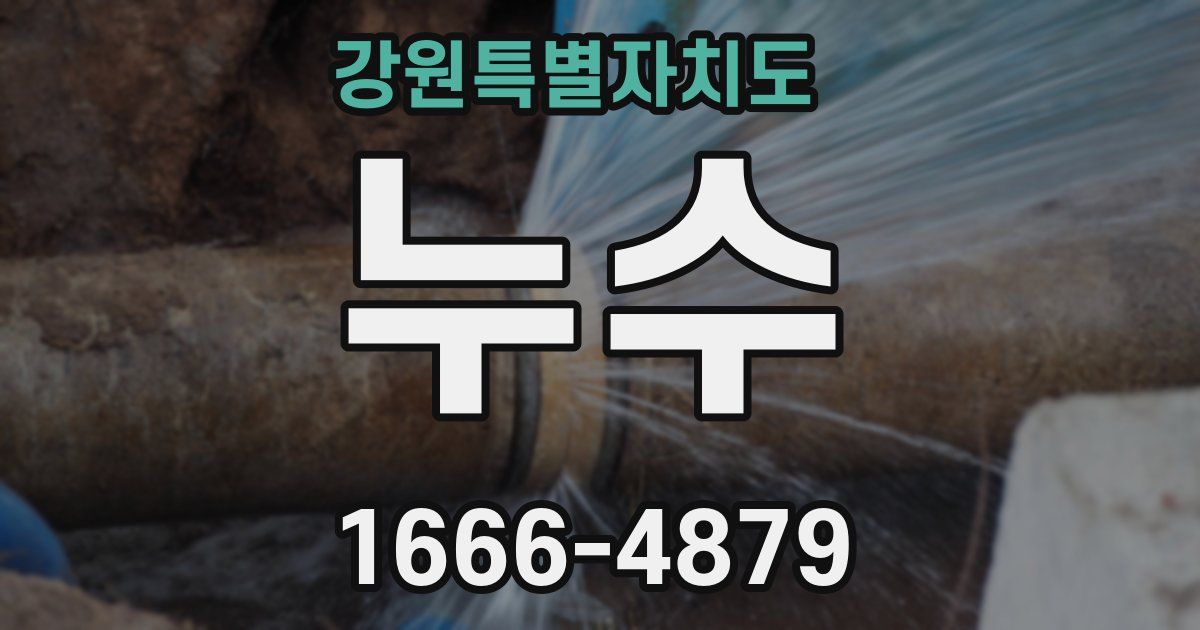 강원특별자치도 누수