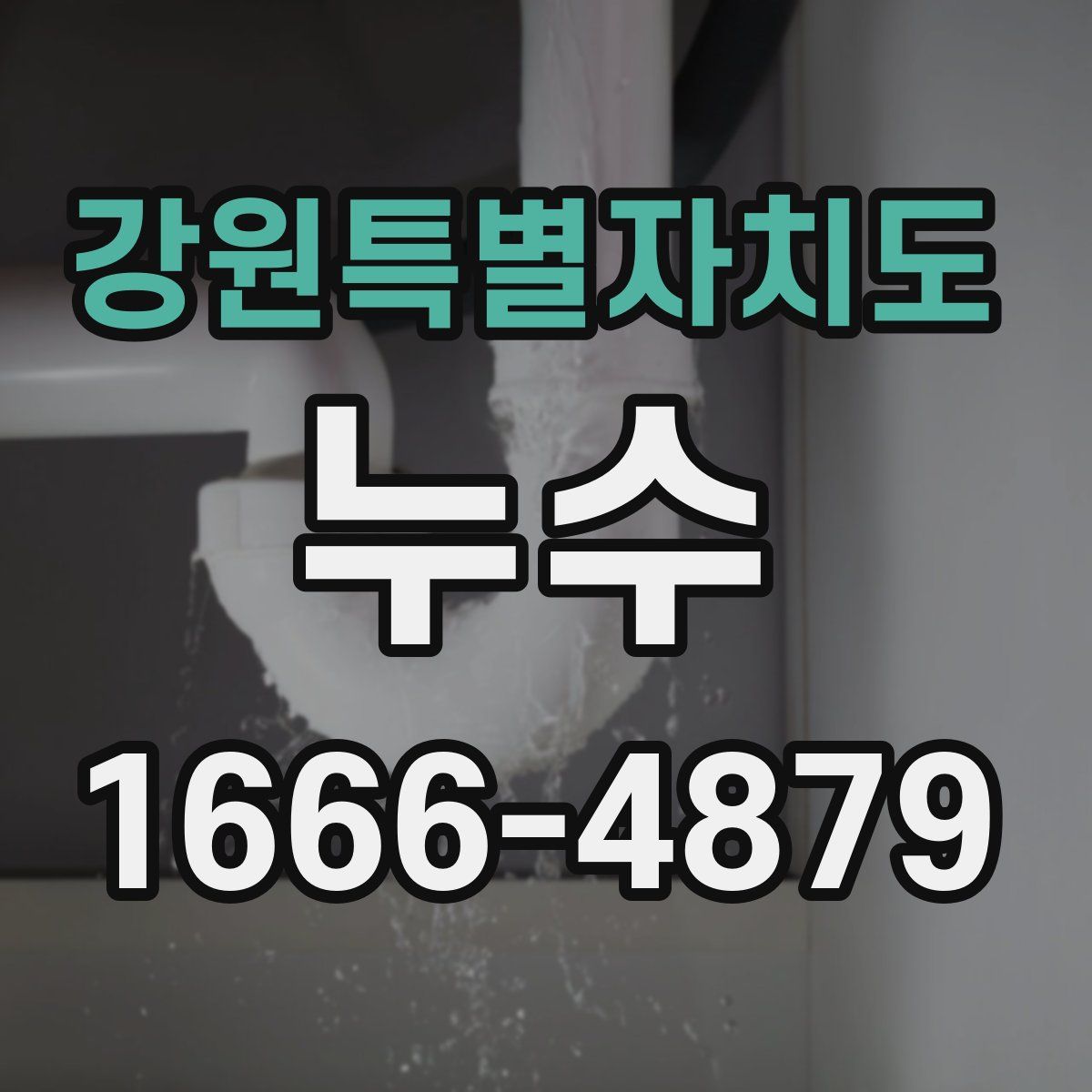 강원특별자치도 누수