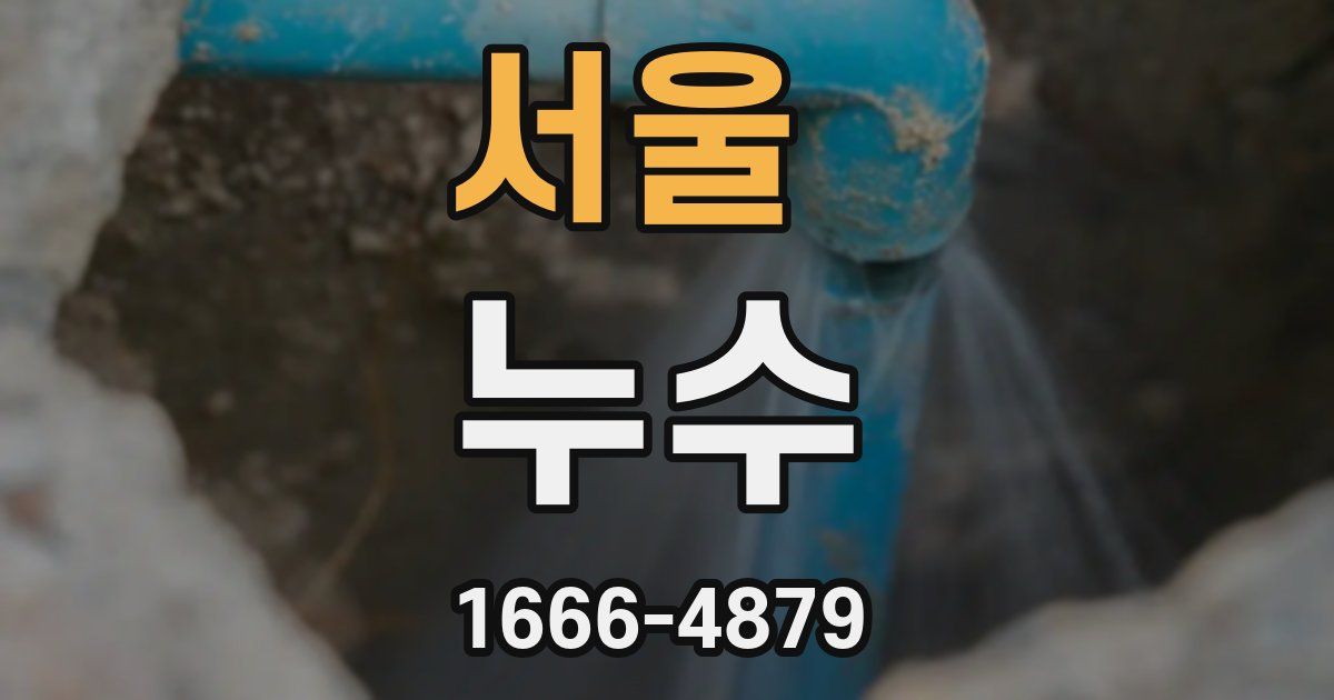 서울 누수