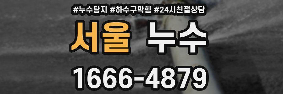 서울 누수