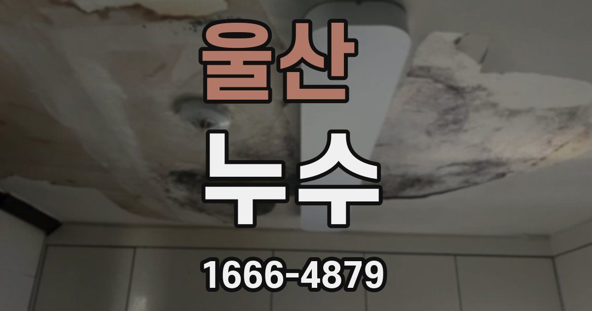 울산 누수