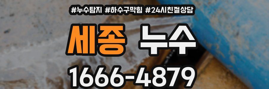 세종 누수