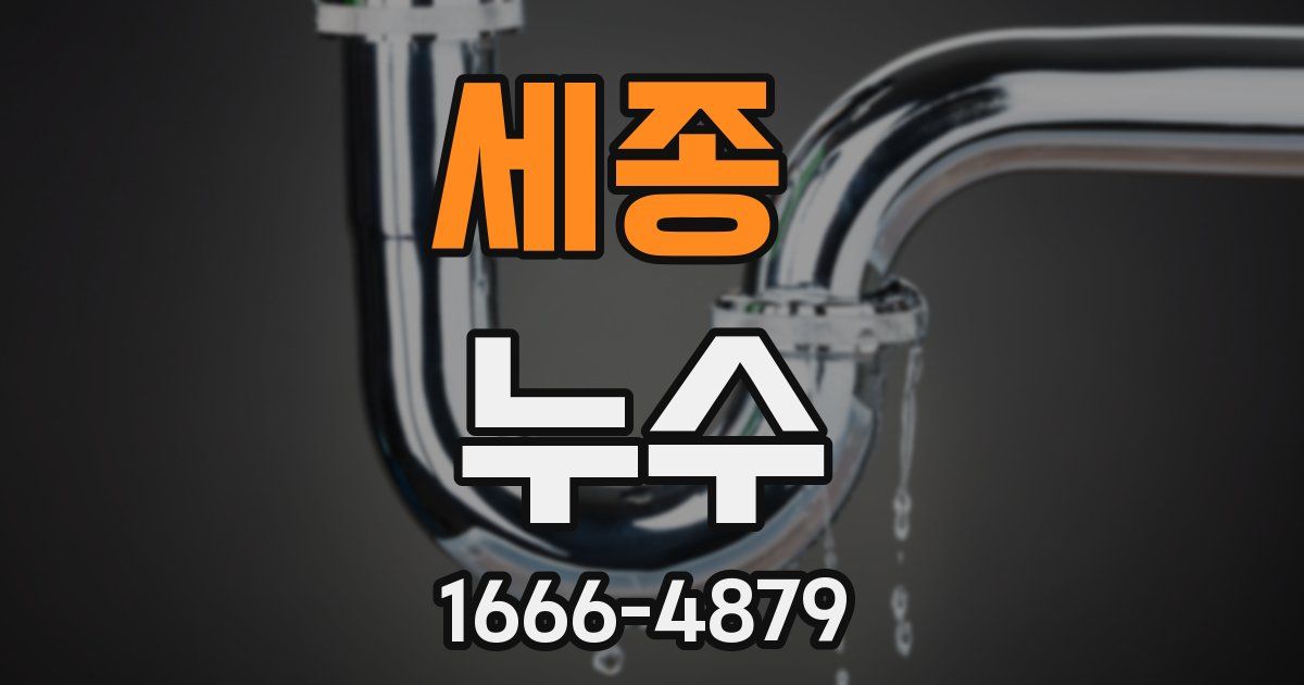 세종 누수