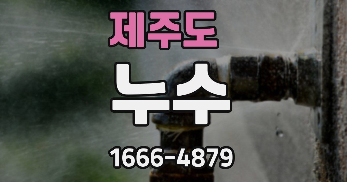 제주도 누수