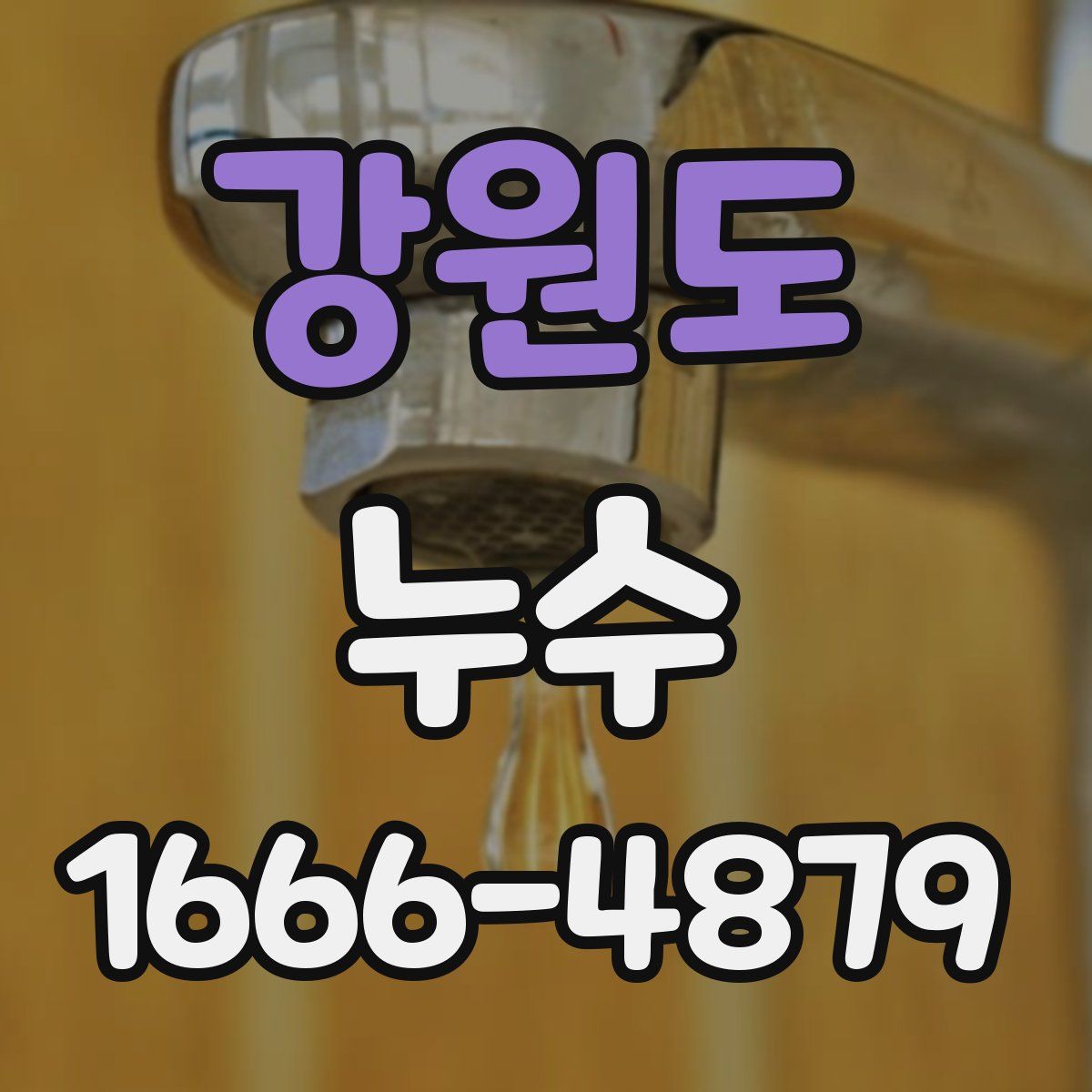 강원도 누수