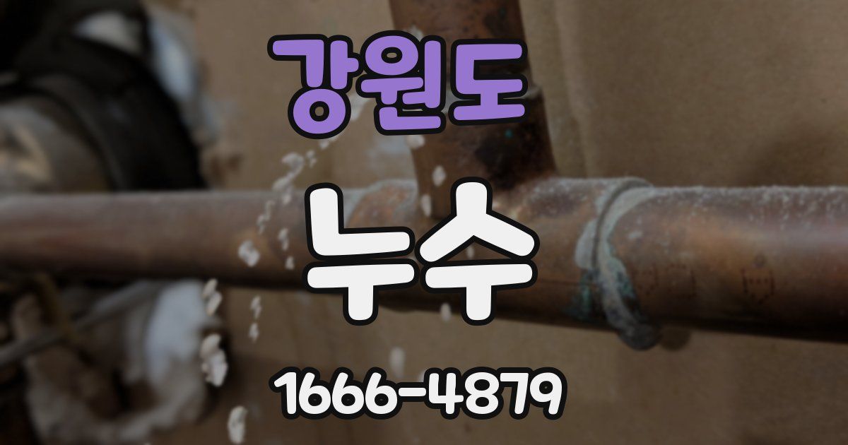 강원도 누수