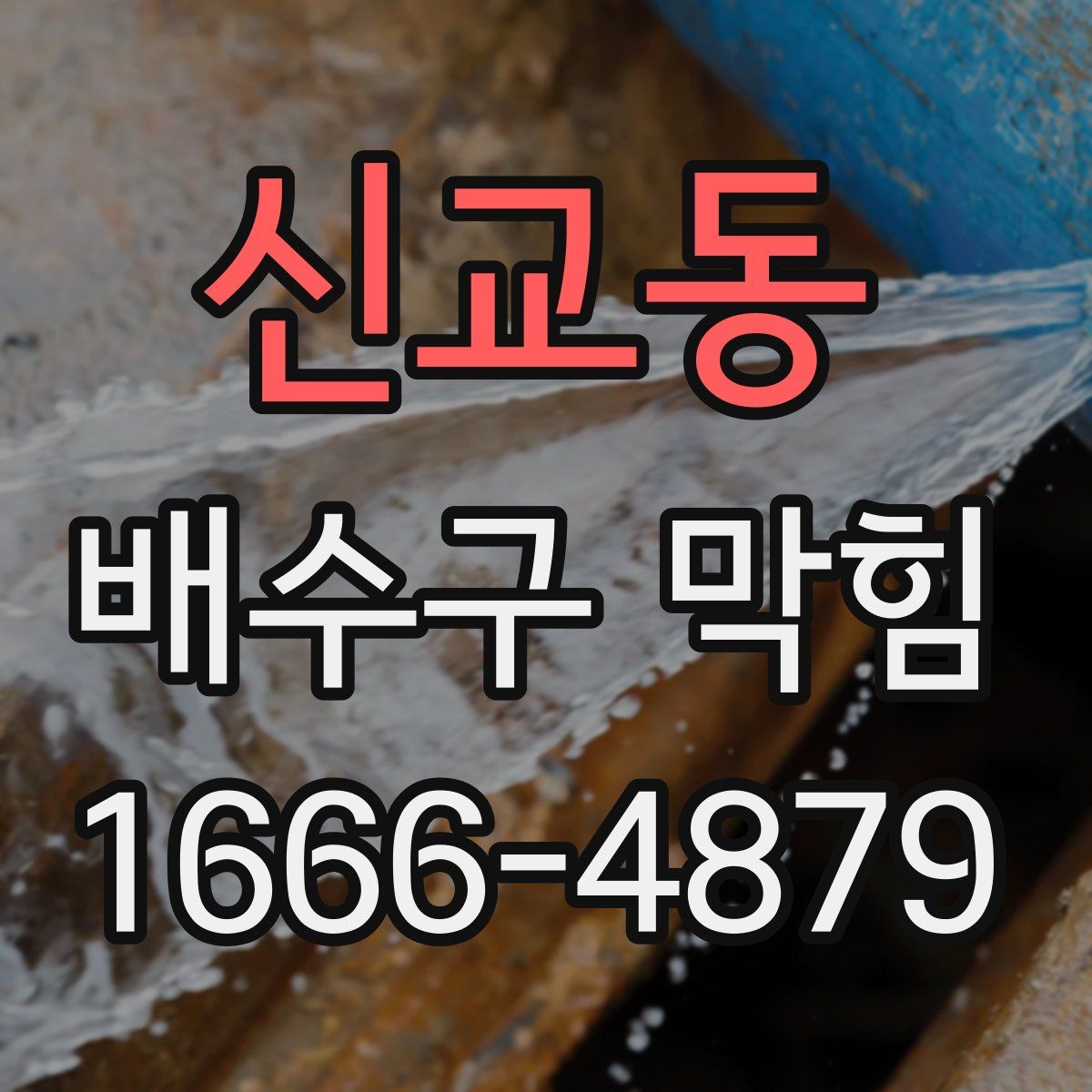 신교동 배수구 막힘