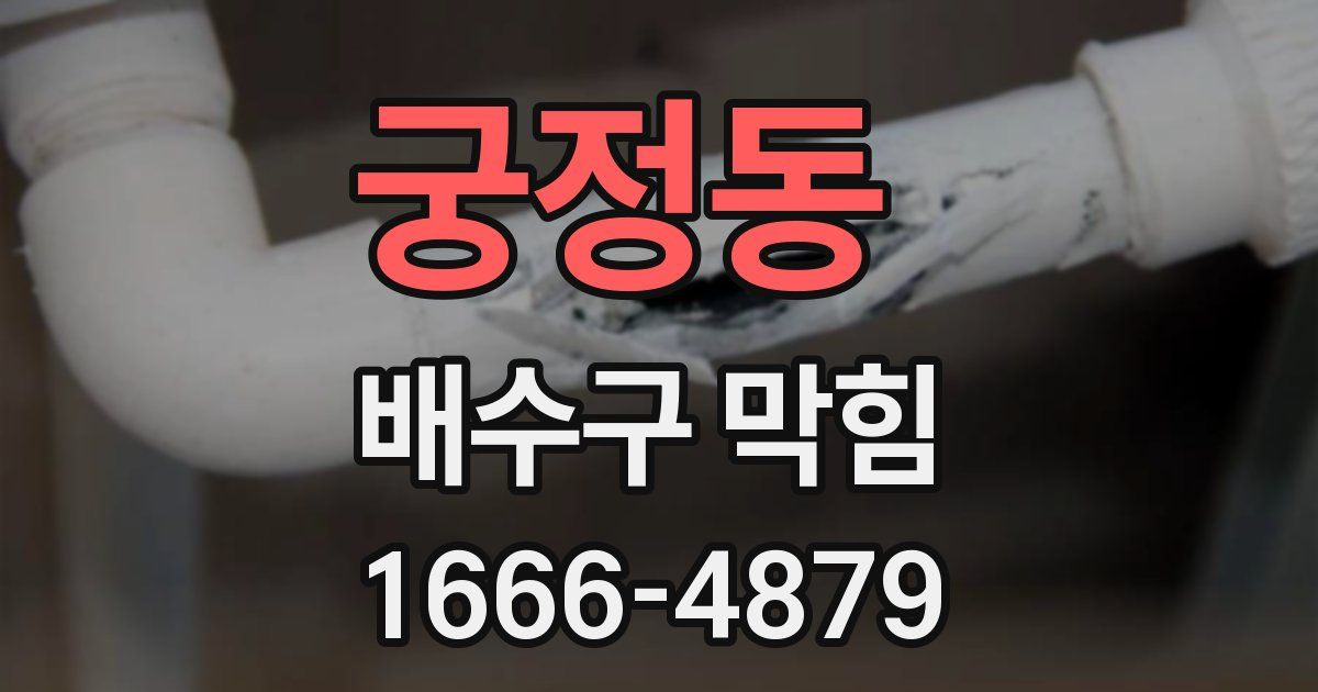 궁정동 배수구 막힘