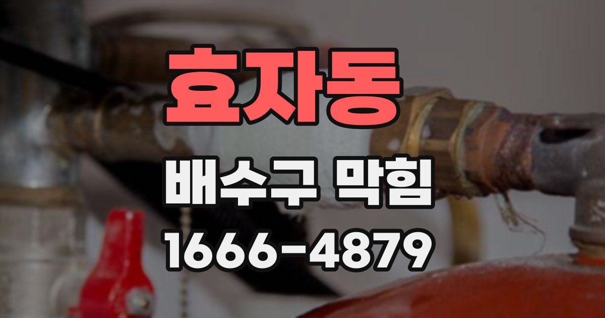 효자동 배수구 막힘