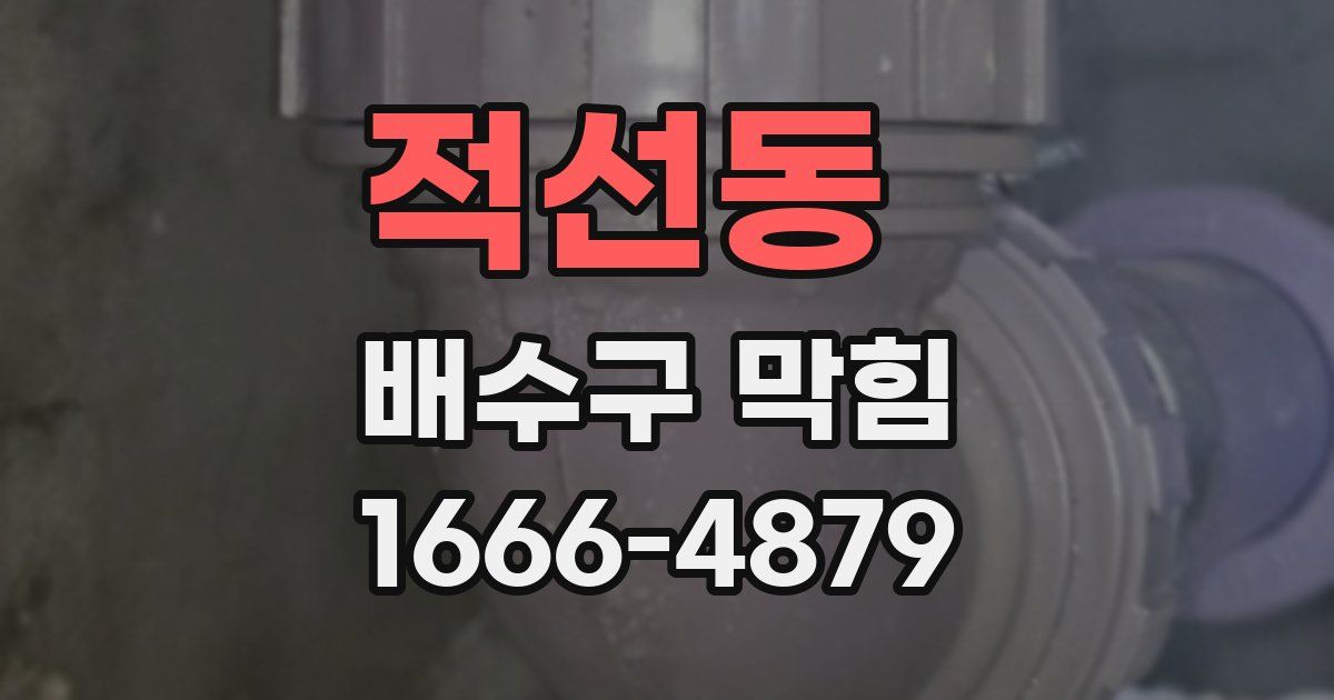 적선동 배수구 막힘