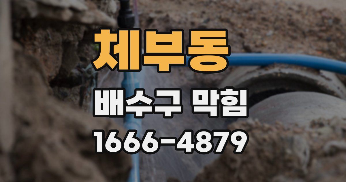 체부동 배수구 막힘