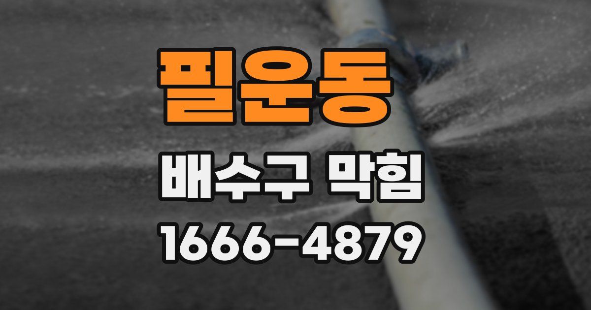 필운동 배수구 막힘
