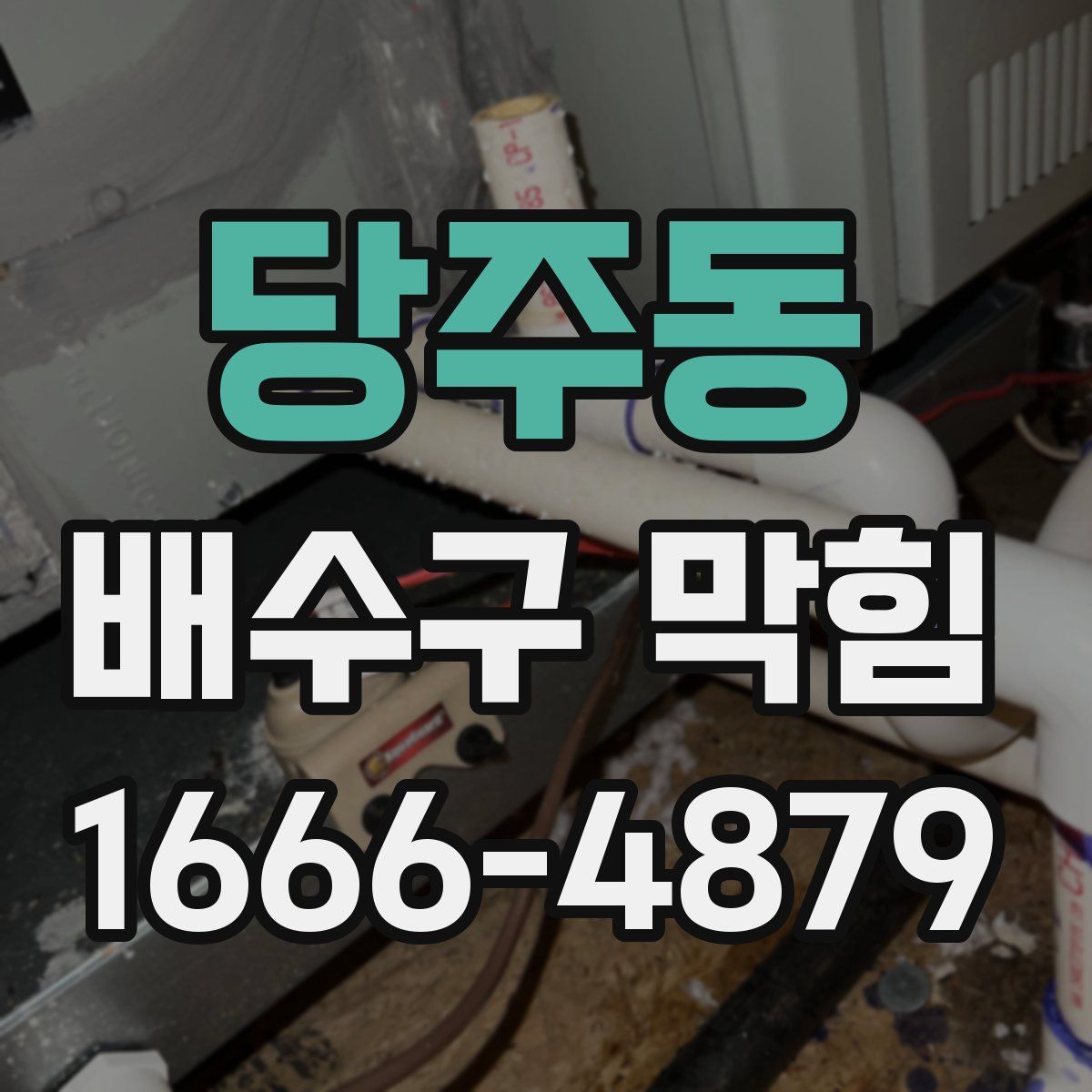 당주동 배수구 막힘