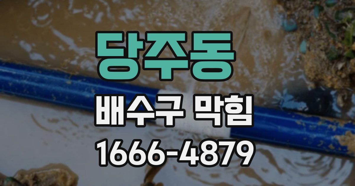 당주동 배수구 막힘
