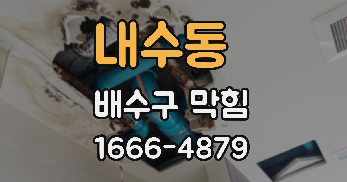 내수동 배수구 막힘