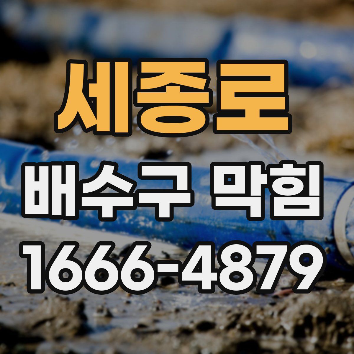 세종로 배수구 막힘