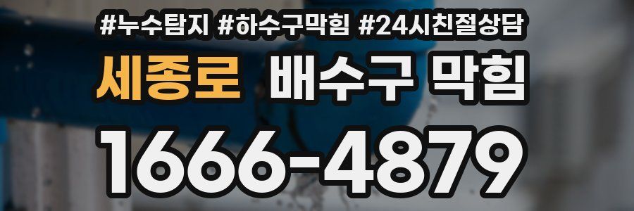 세종로 배수구 막힘