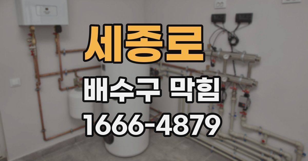 세종로 배수구 막힘