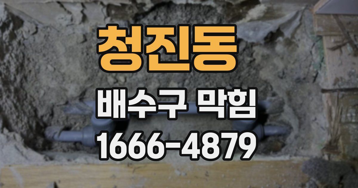청진동 배수구 막힘