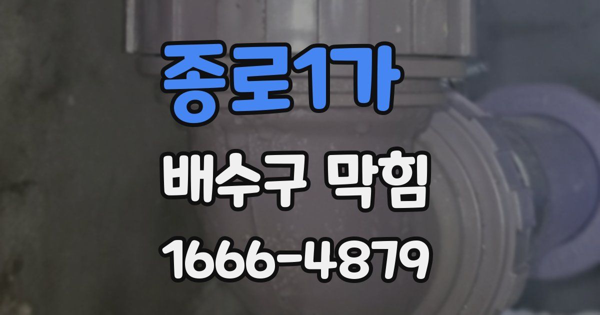 종로1가 배수구 막힘