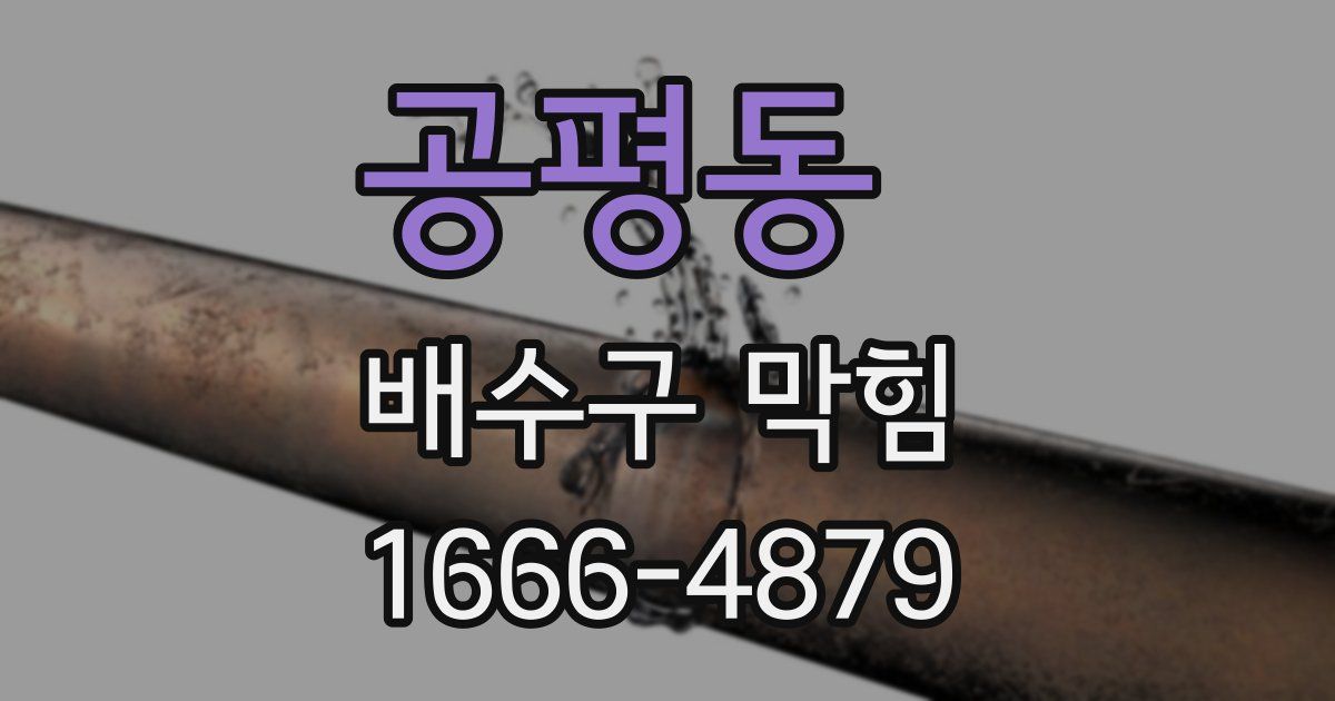 공평동 배수구 막힘