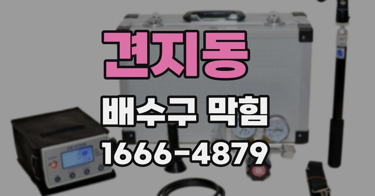견지동 배수구 막힘