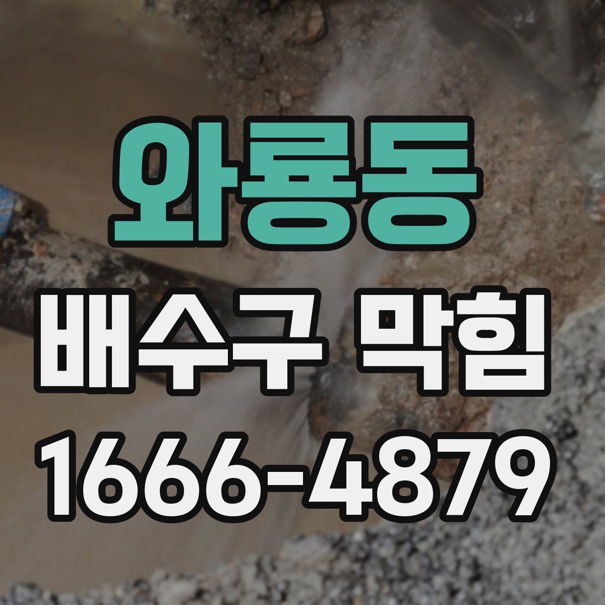 와룡동 배수구 막힘