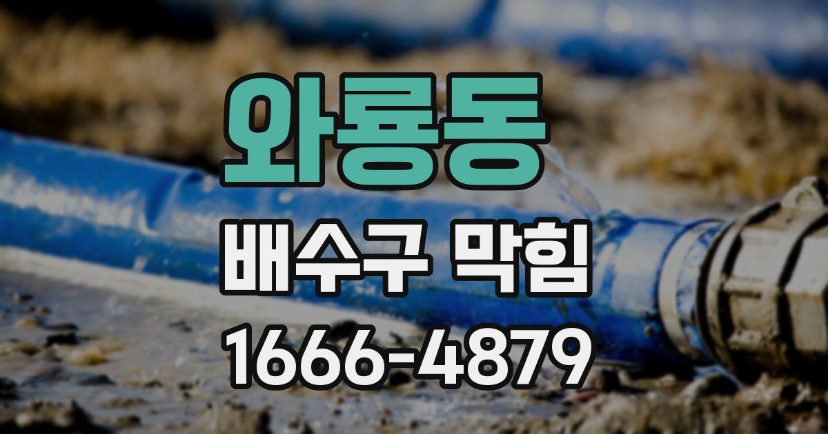 와룡동 배수구 막힘