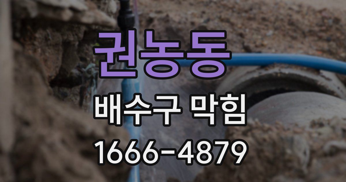 권농동 배수구 막힘