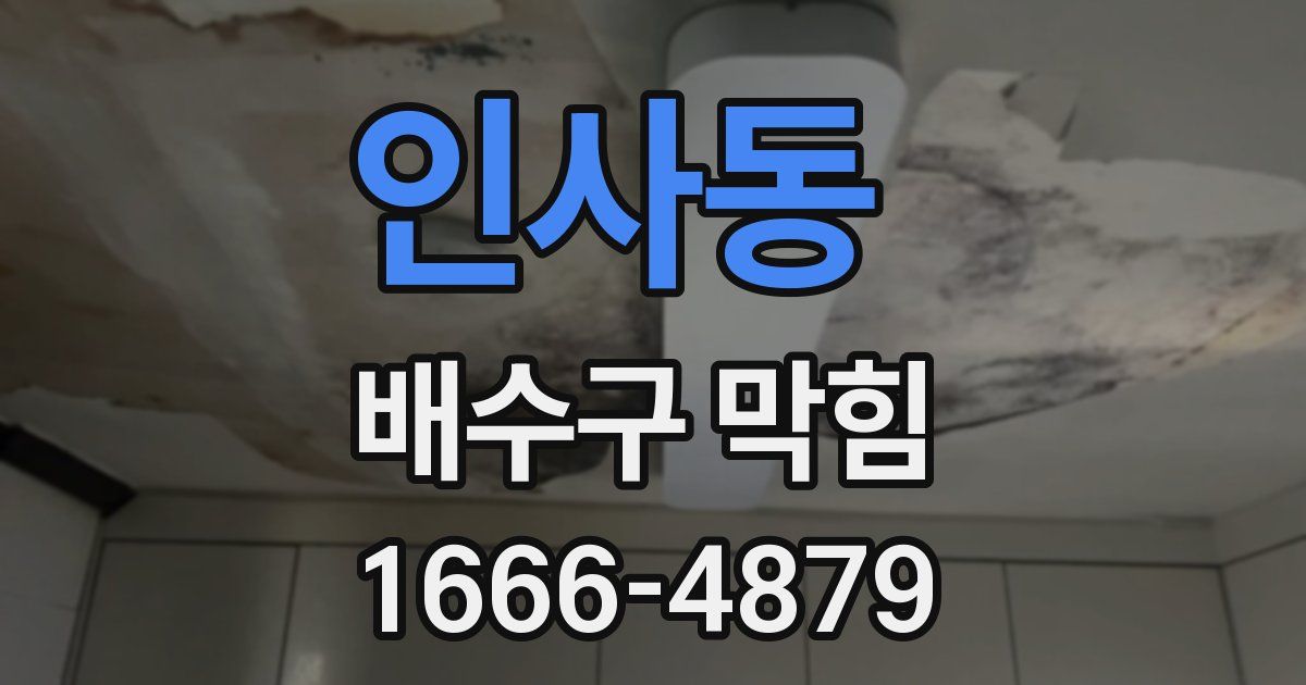 인사동 배수구 막힘