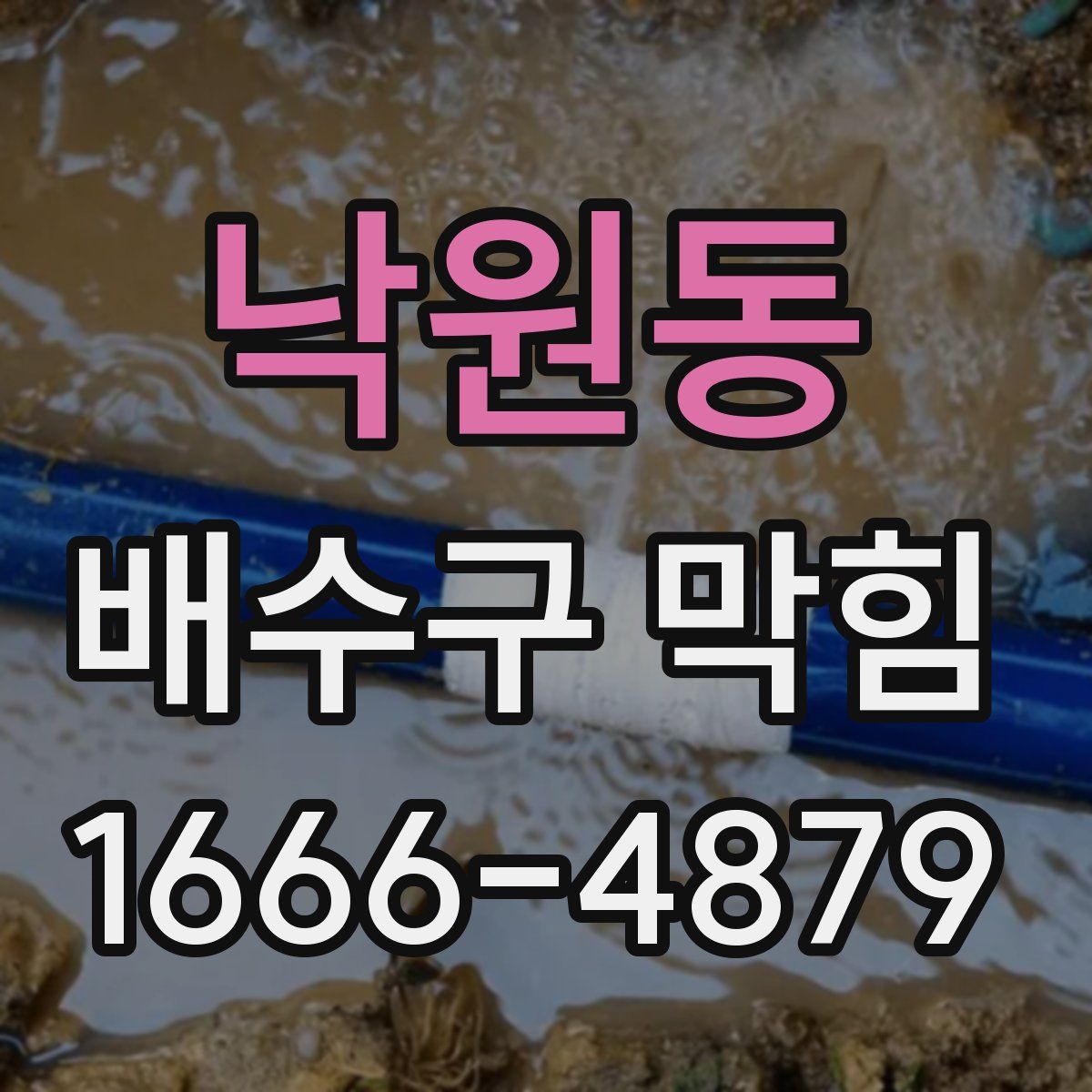낙원동 배수구 막힘