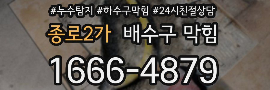 종로2가 배수구 막힘