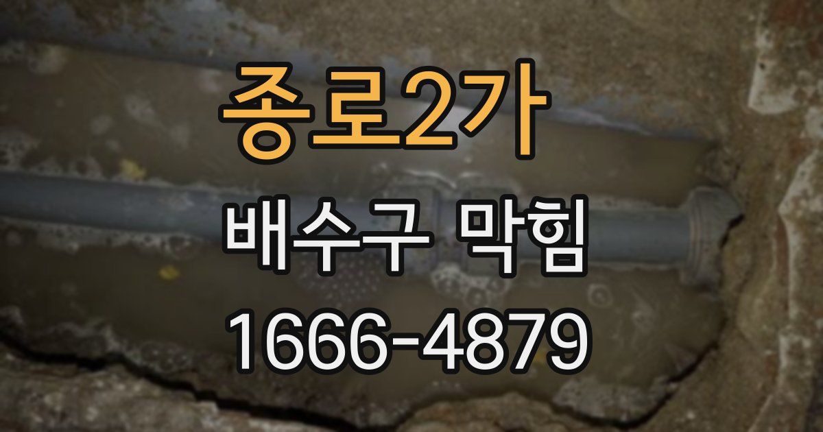 종로2가 배수구 막힘